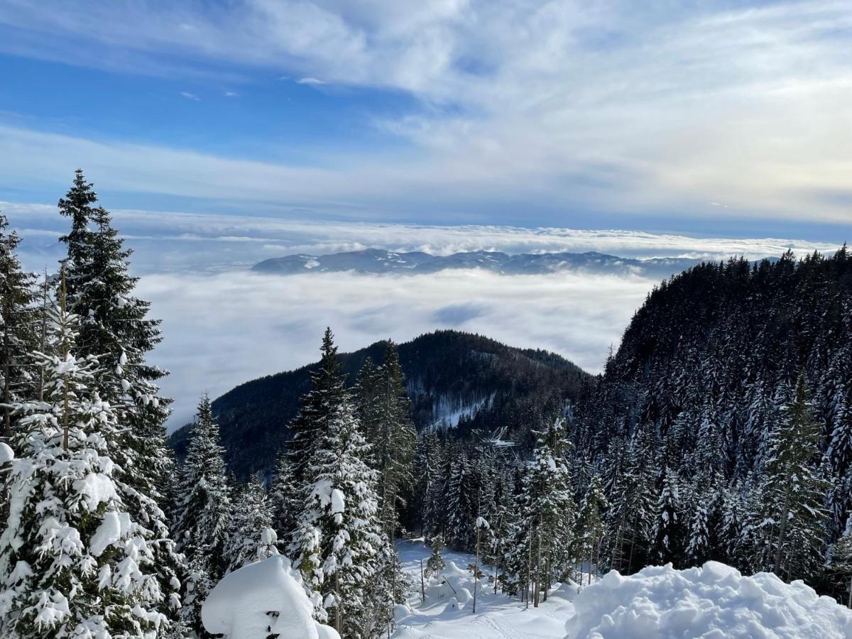 Apartma Lilija Golte Mozirje Buitenkant foto